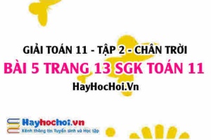 Bài 5 trang 13 Toán 11 tập 2 Chân trời sáng tạo: Ứng Dụng Hàm Số Mũ